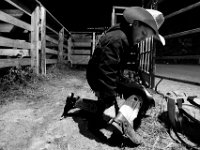 Derick Costa Jr., 10,  ties the spurs and tightens the chaps before his first ride at the final event in the New England Rodeo championship in Norton, MA.